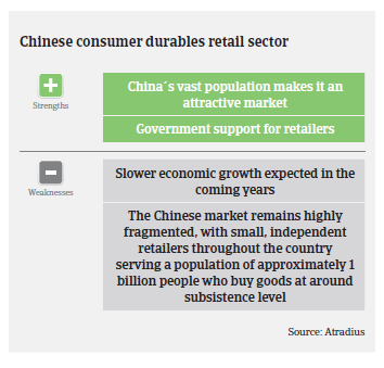 China 2017 consumer durables SW