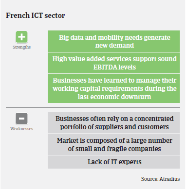 ICT industry France Strengths Weaknesses