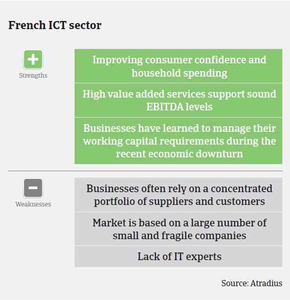 MM_French_ICT_strengths_weaknesses